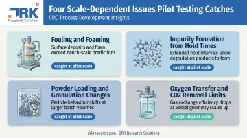 4 scale-dependent issues pilot plants surface before commercial manufacturing