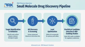 Four-step small molecule drug discovery process from target to candidate