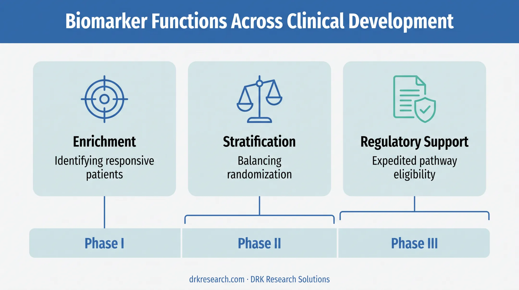 Biomarker roles across enrichment stratification and regulatory support in trials