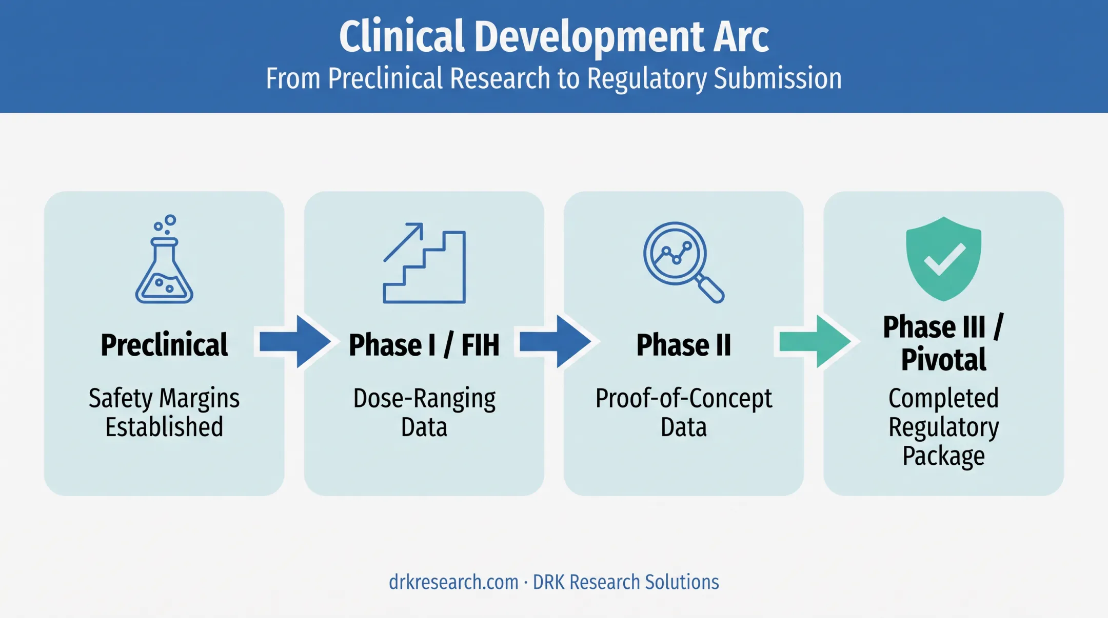 Clinical development journey timeline from FIH to pivotal trial