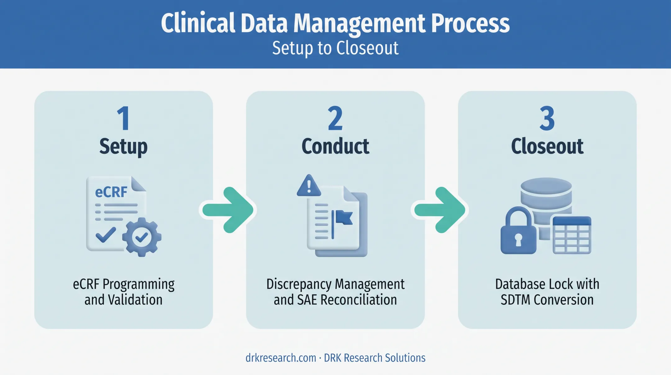 Clinical data management lifecycle phases from setup to database lock