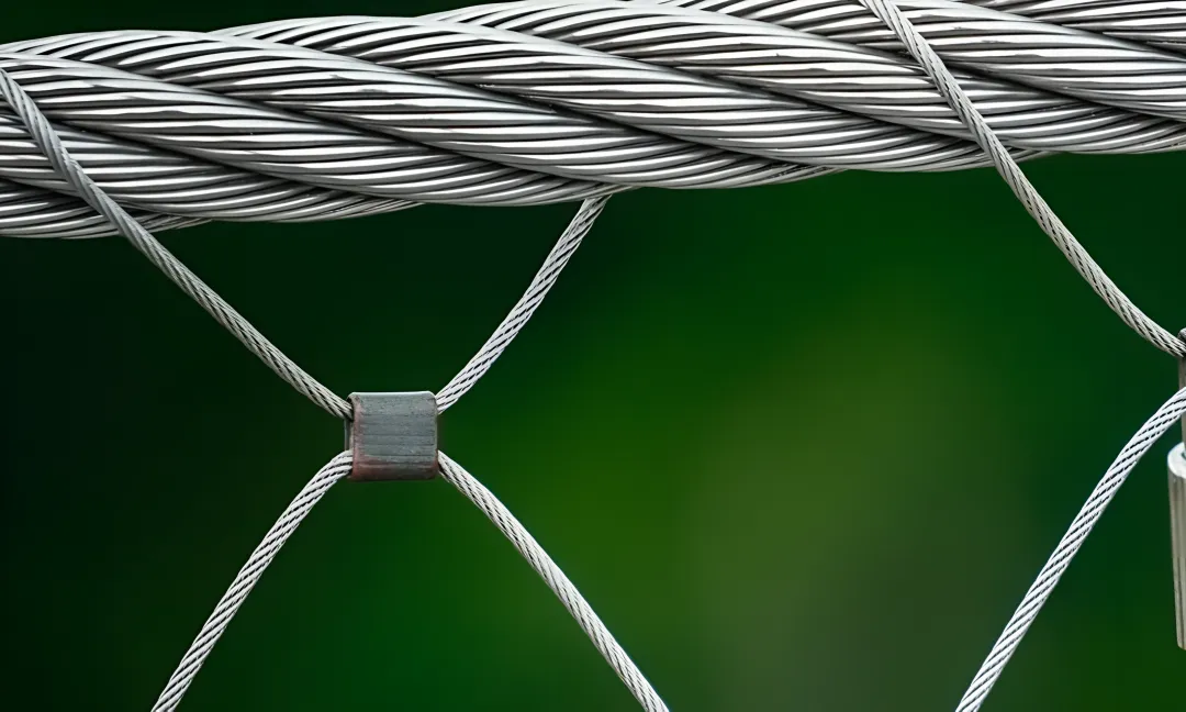 Cable