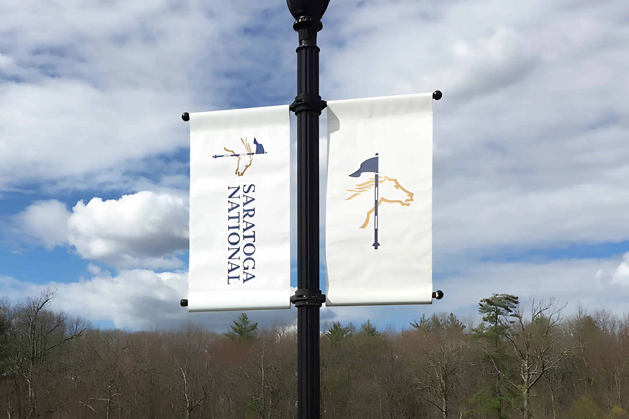 Outdoor campaign vinyl banners