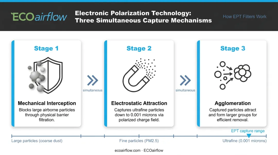 Three-mechanism EPT particle capture process mechanical electrostatic and agglomeration infographic