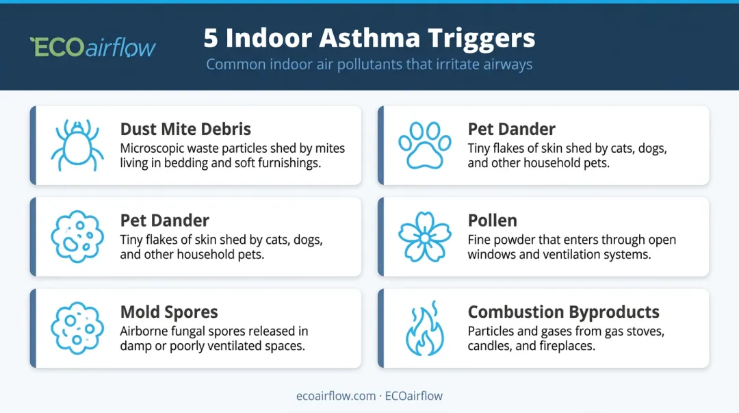 Five common indoor asthma triggers found in typical home environments