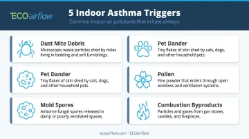 Five common indoor asthma triggers found in typical home environments