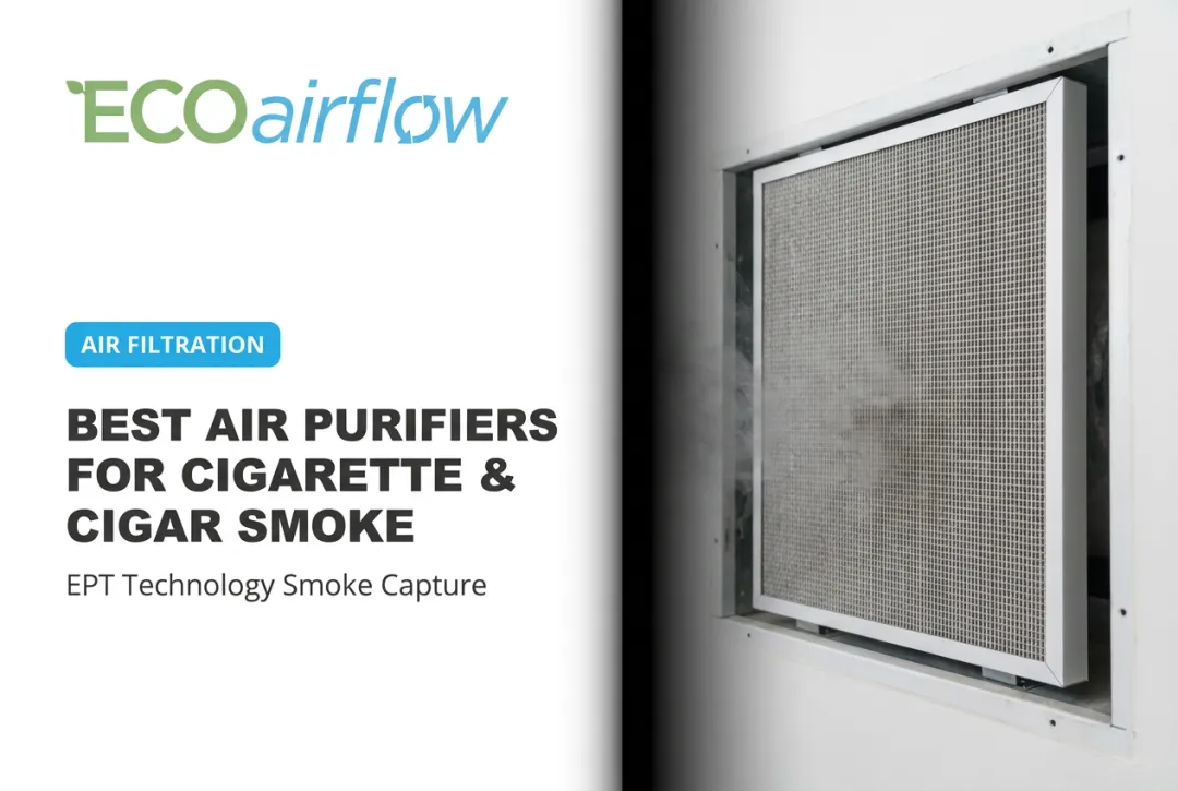 Best Air Purifiers for Cigarette & Cigar Smoke