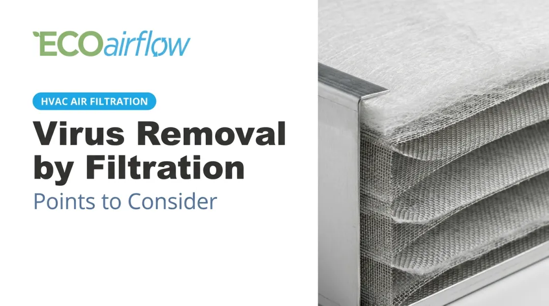 Virus Removal by Filtration: Points to Consider