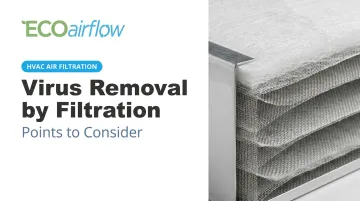 Virus Removal by Filtration: Points to Consider
