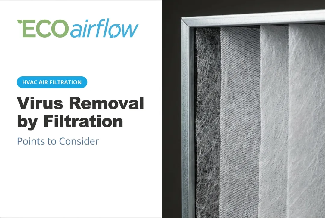Virus Removal by Filtration: Points to Consider