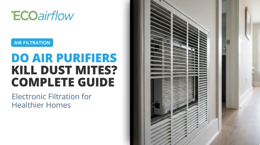 Do Air Purifiers Kill Dust Mites? Complete Guide