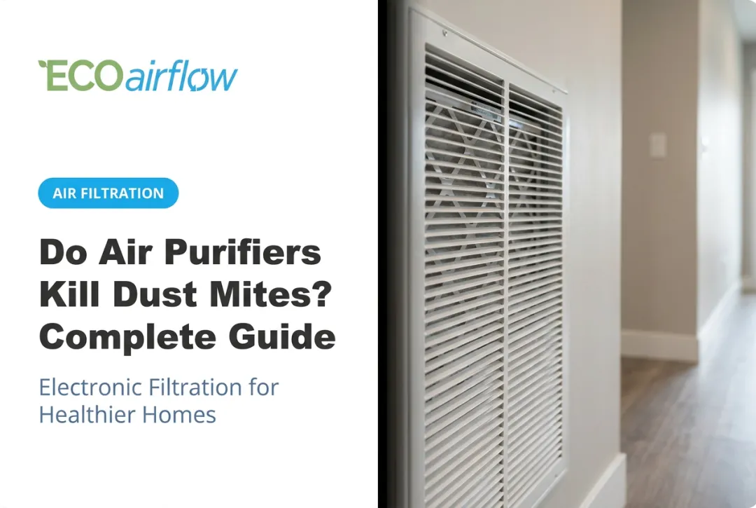 Do Air Purifiers Kill Dust Mites? Complete Guide
