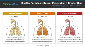 Three aerosol particle size categories penetration depth and health risk comparison