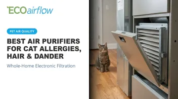 Best Air Purifiers for Cat Allergies, Hair &amp; Dander