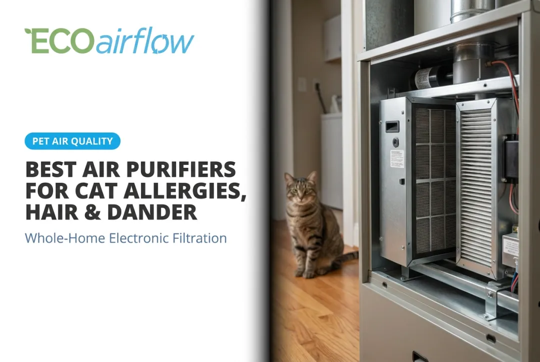 Best Air Purifiers for Cat Allergies, Hair & Dander