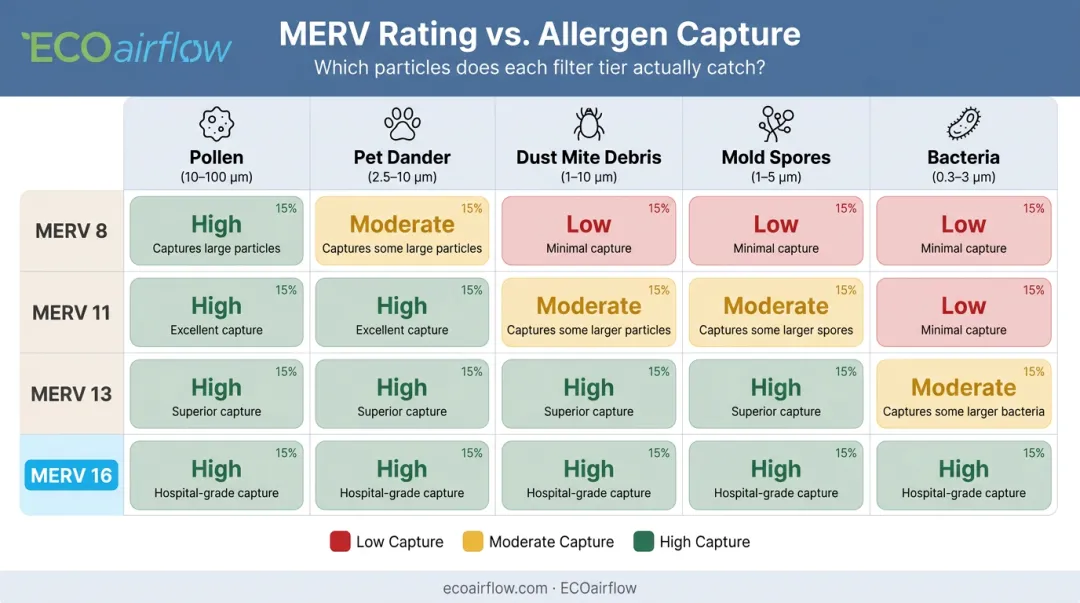 MERV rating allergen particle size capture efficiency comparison chart infographic