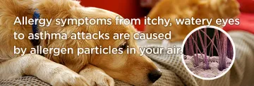 Residential Homes with Pets