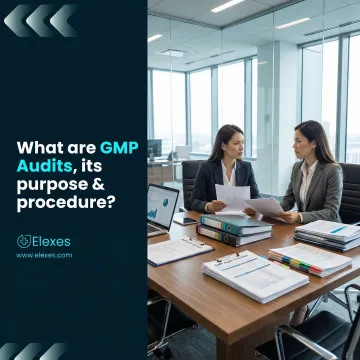 GMP Inspection Readiness Consulting for Biopharma