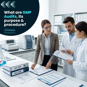 Laboratory quality consultant reviewing GLP procedures