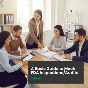 Quality team learning GMP audit methods