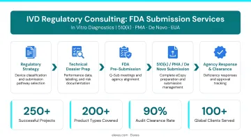 Elexes IVD regulatory consulting team reviewing FDA submission documentation in office