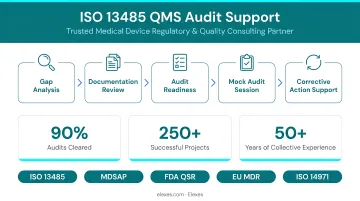 Elexes Medical Consulting team conducting ISO 13485 QMS audit session with client