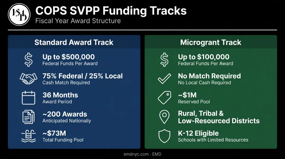 SVPP grant funding structure comparing standard award and microgrant track details