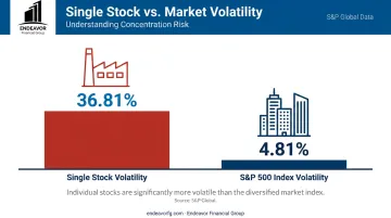 Bar chart comparing the high volatility of single stocks versus the S&P 500 index