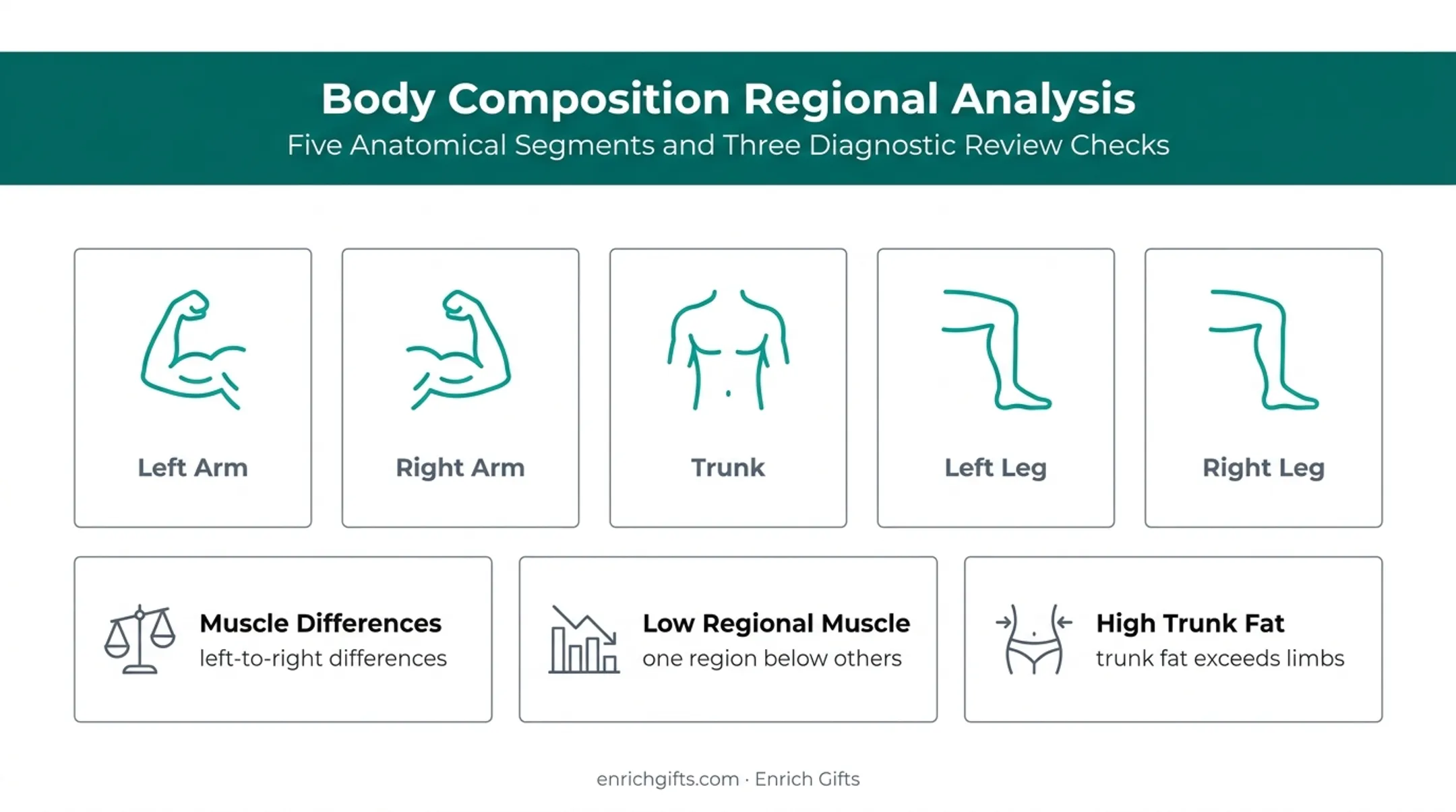 Five-region segmental body composition analysis and imbalance review diagram
