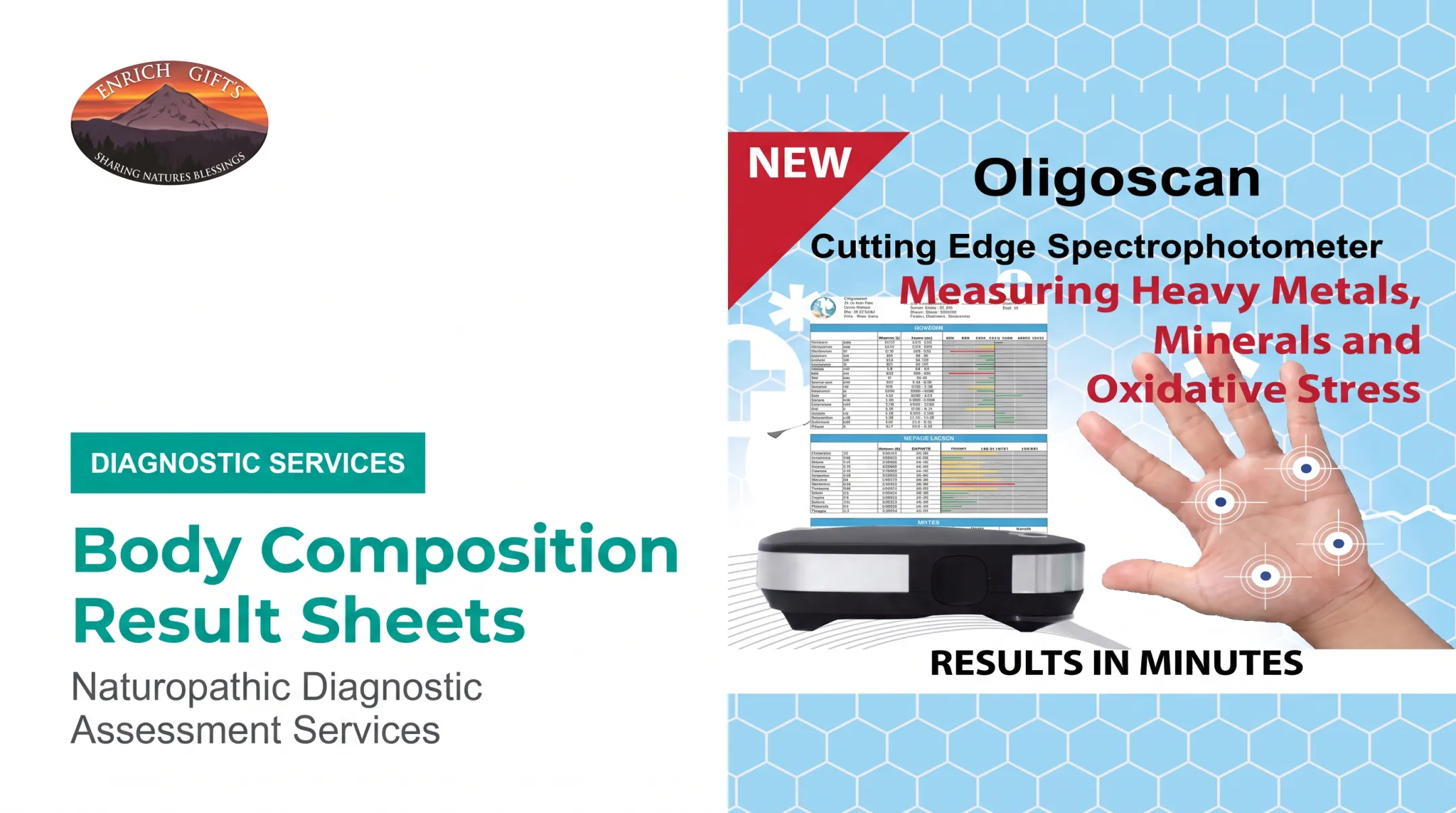 Body Composition Result Sheets
