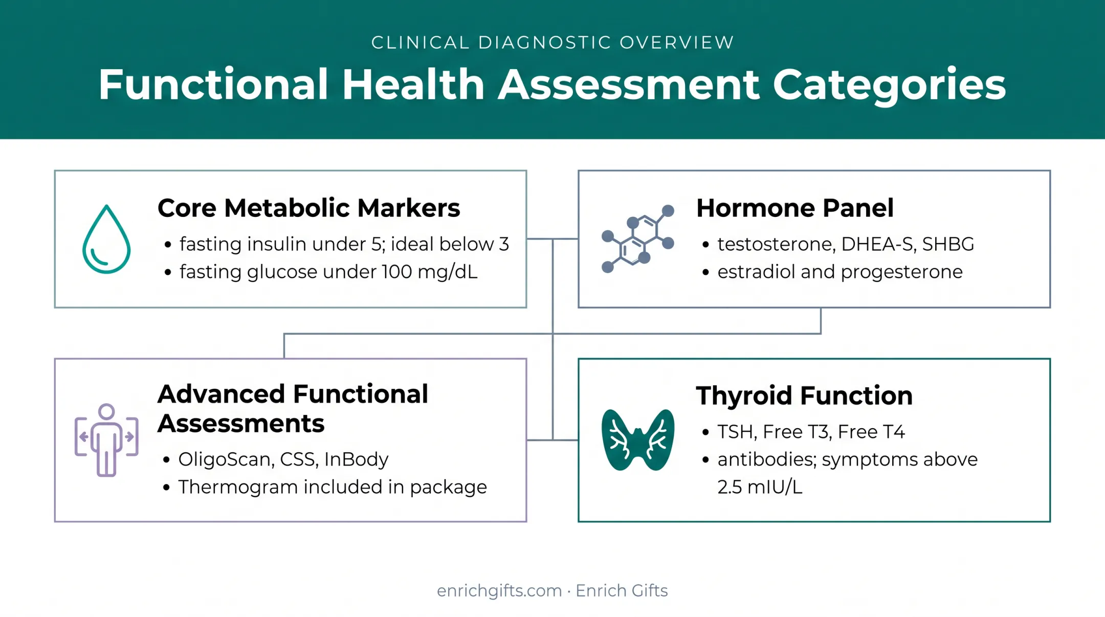 PCOS functional testing pathway with metabolic hormone and thyroid assessments