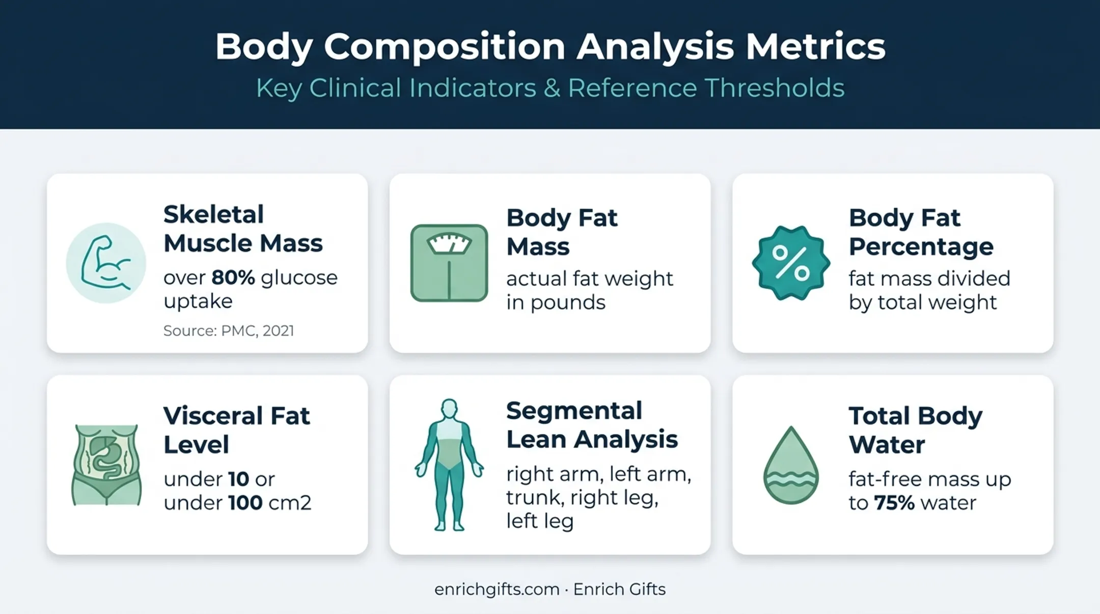Six key body composition metrics and health meanings infographic