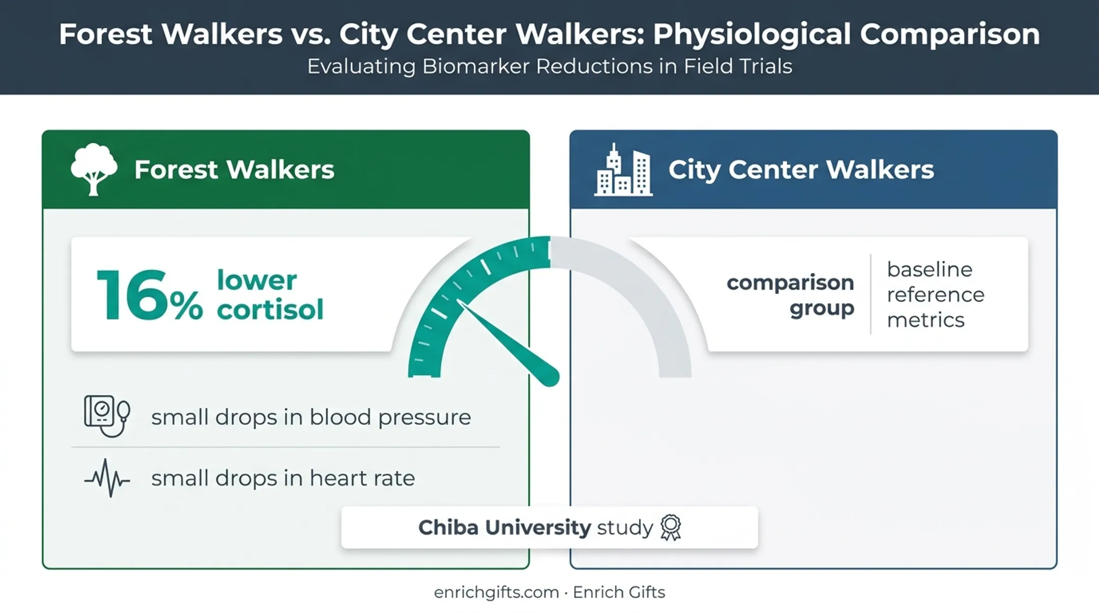 Forest walking versus city walking cortisol comparison infographic