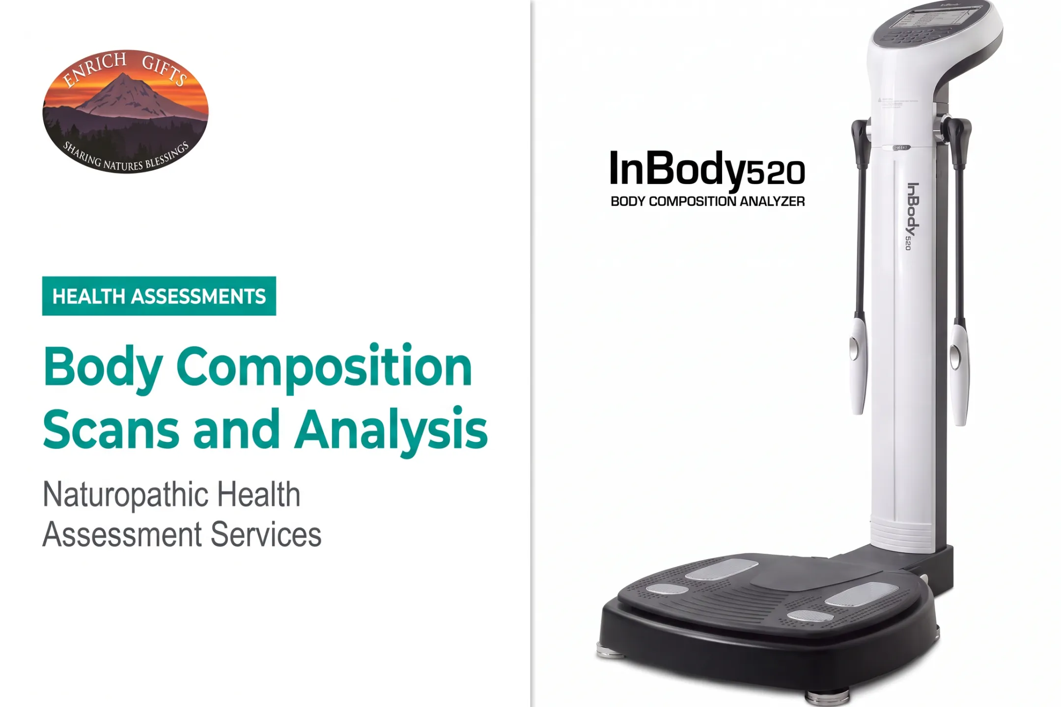Body Composition Scans and Analysis