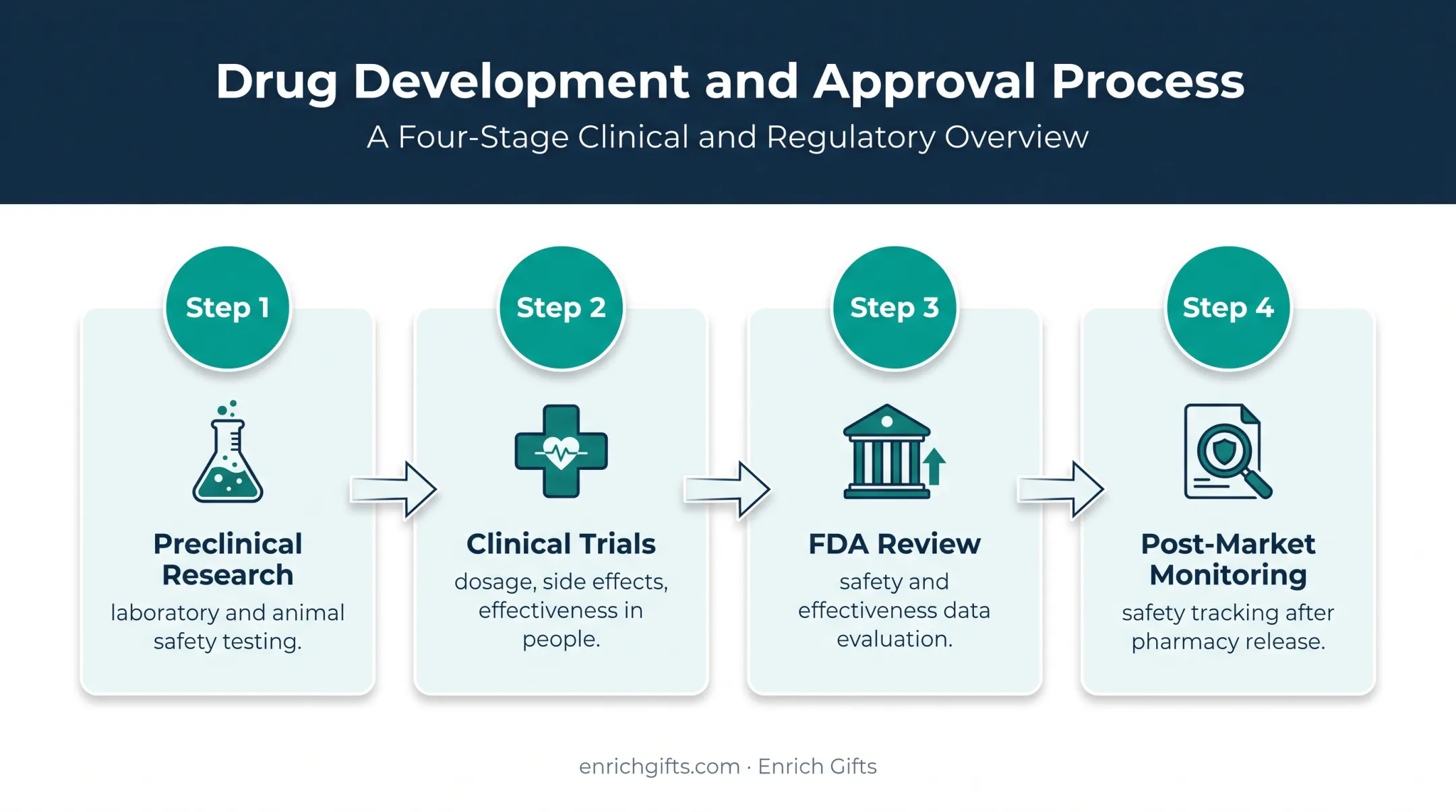 Four-stage pharmaceutical drug development and monitoring process