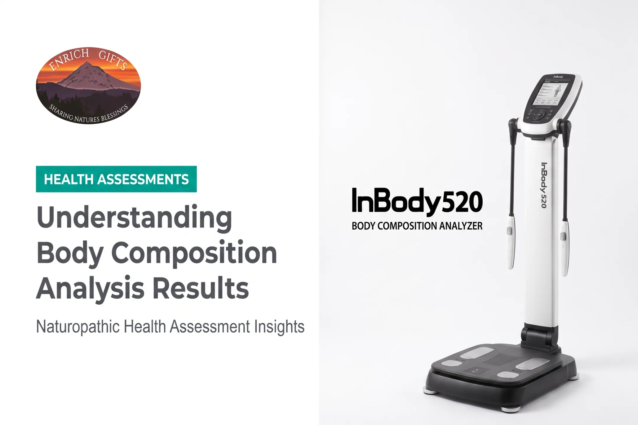 Understanding Body Composition Analysis Results