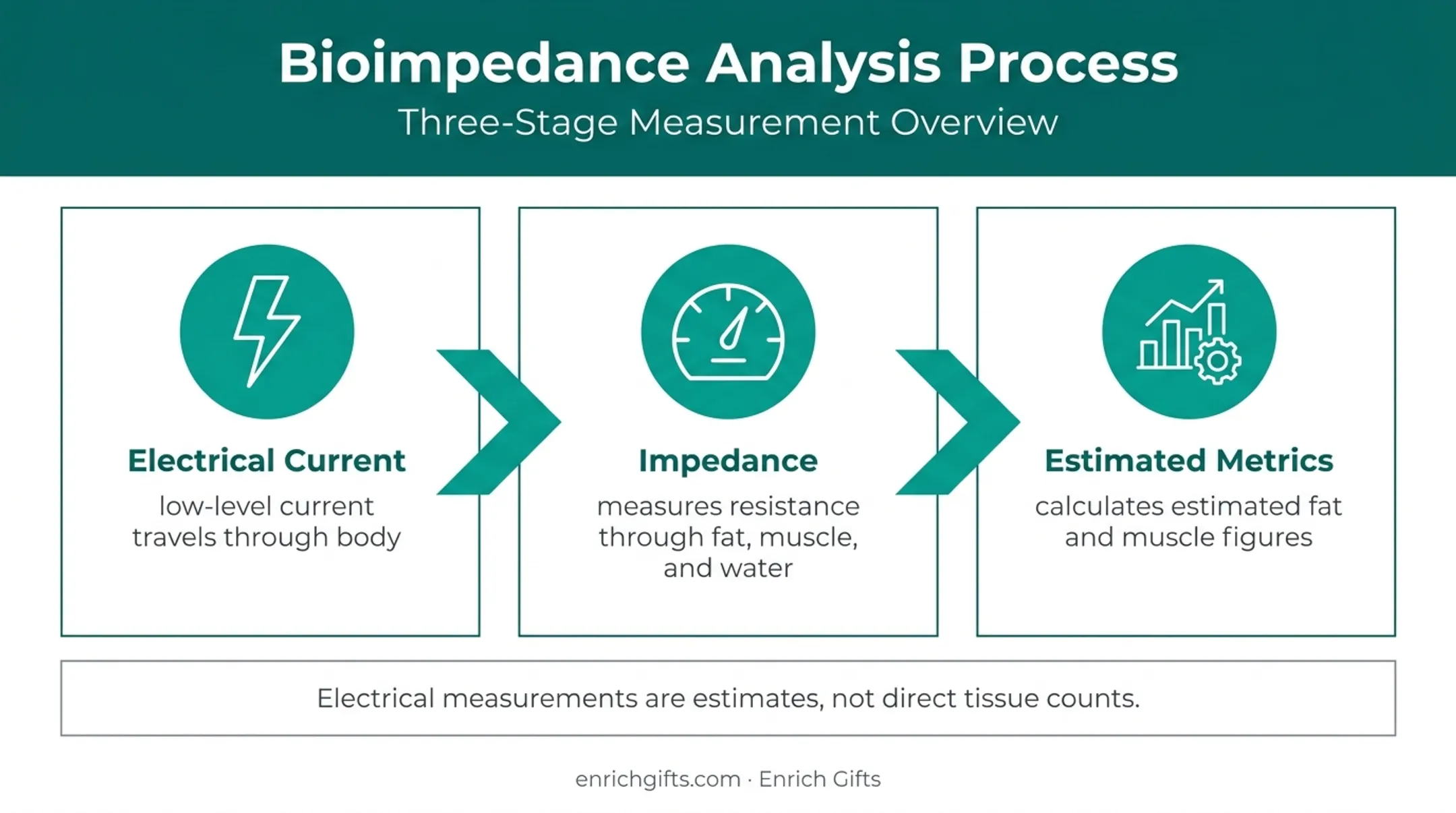 Three-stage BIA body composition measurement process diagram