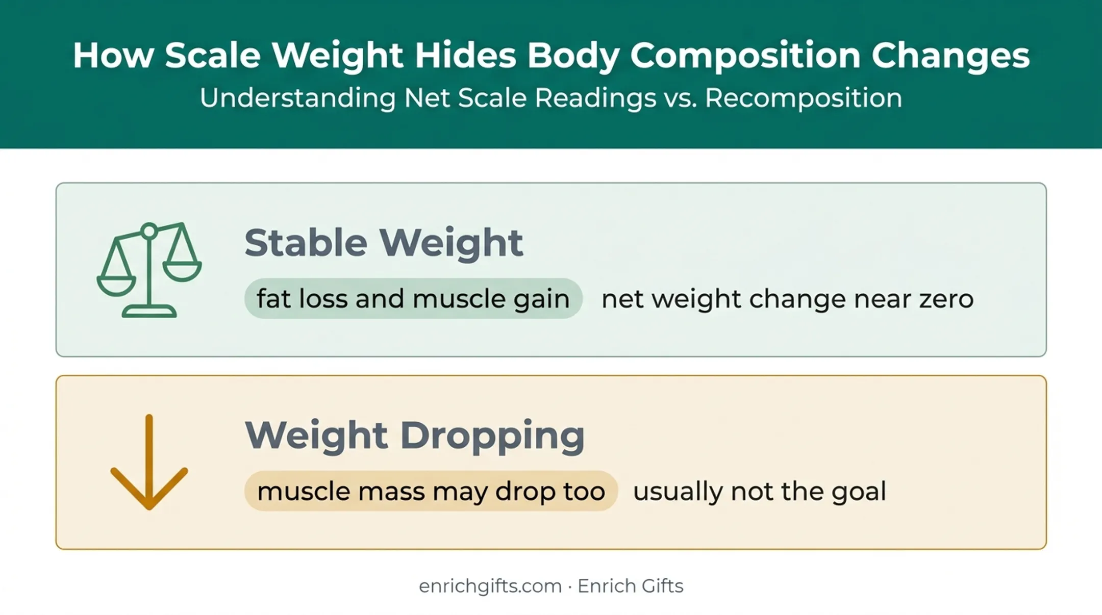 Body weight changes compared with underlying fat and muscle changes