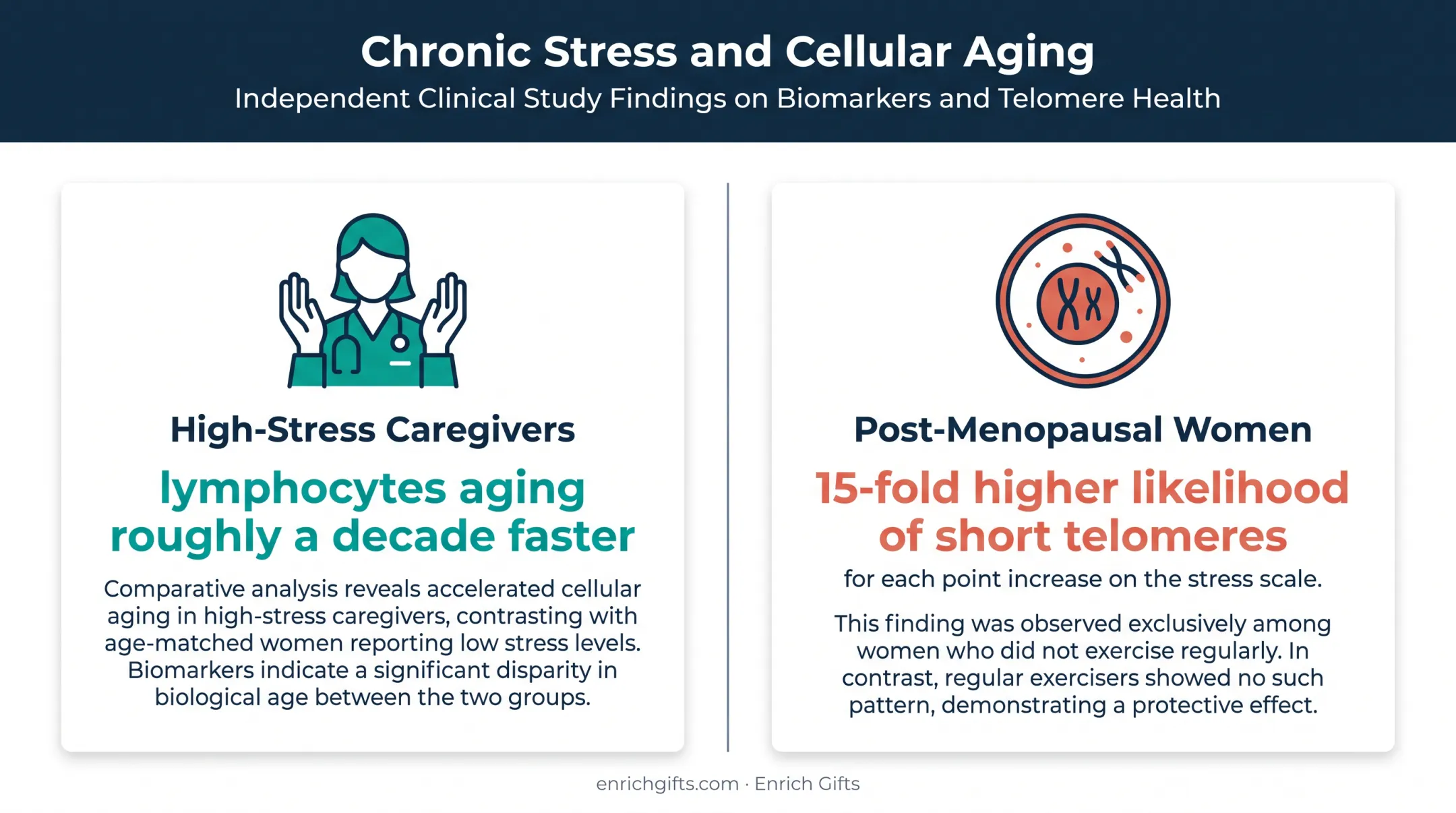 Stress exercise and cellular aging findings in women infographic