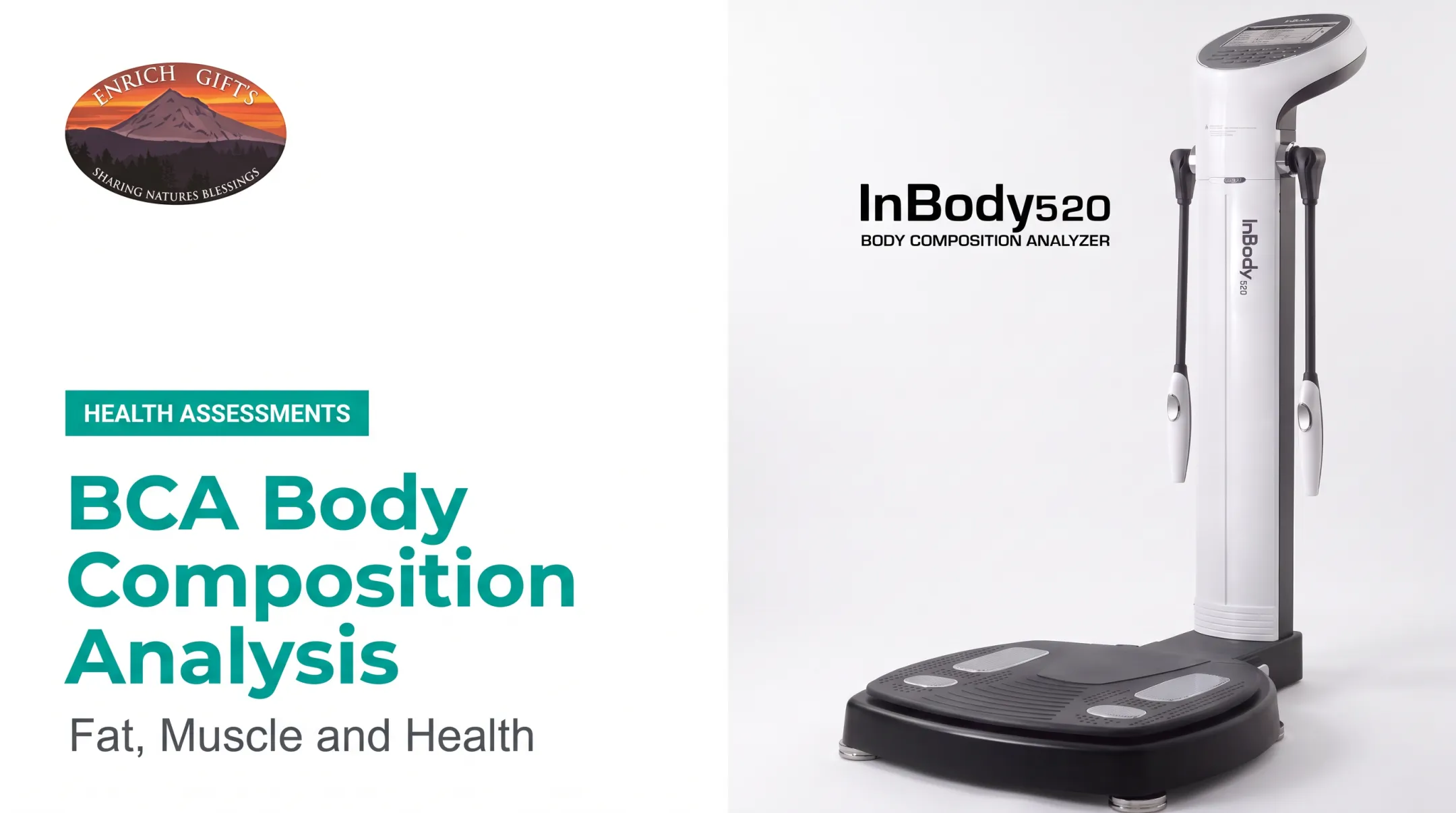 BCA Body Composition Analysis: Fat, Muscle and Health