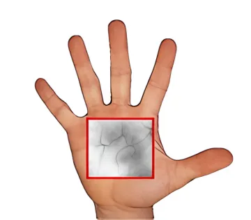 Healthcare & Hospitals