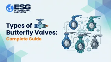 Types of Butterfly Valves: Complete Guide