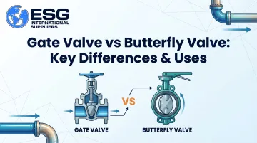 Gate Valve vs Butterfly Valve: Key Differences &amp; Uses