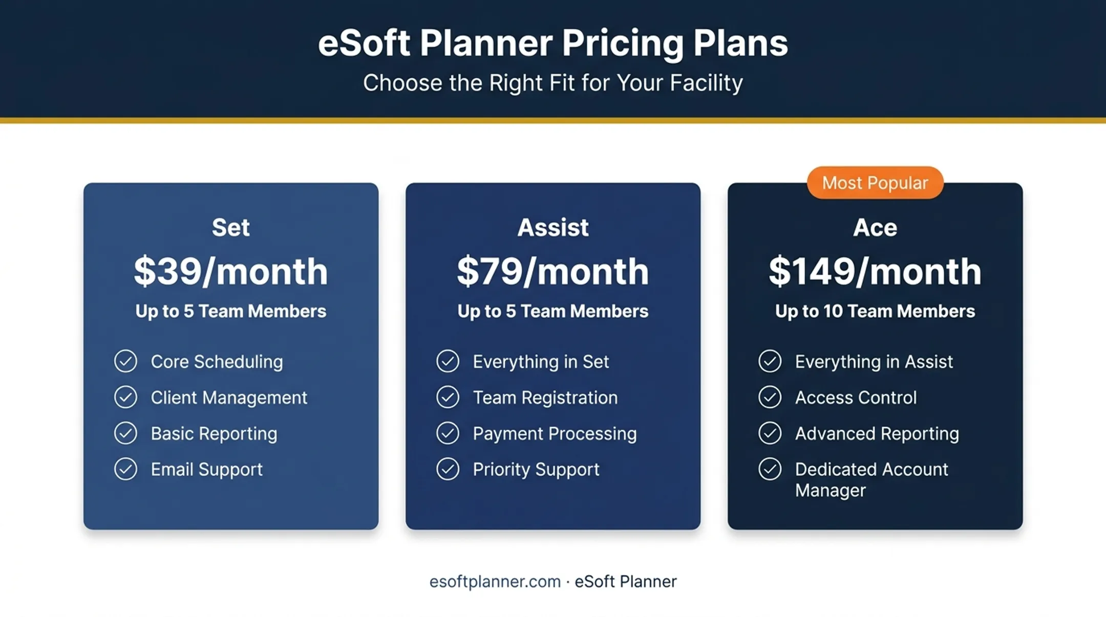 eSoft Planner a la carte pricing tiers by team count comparison