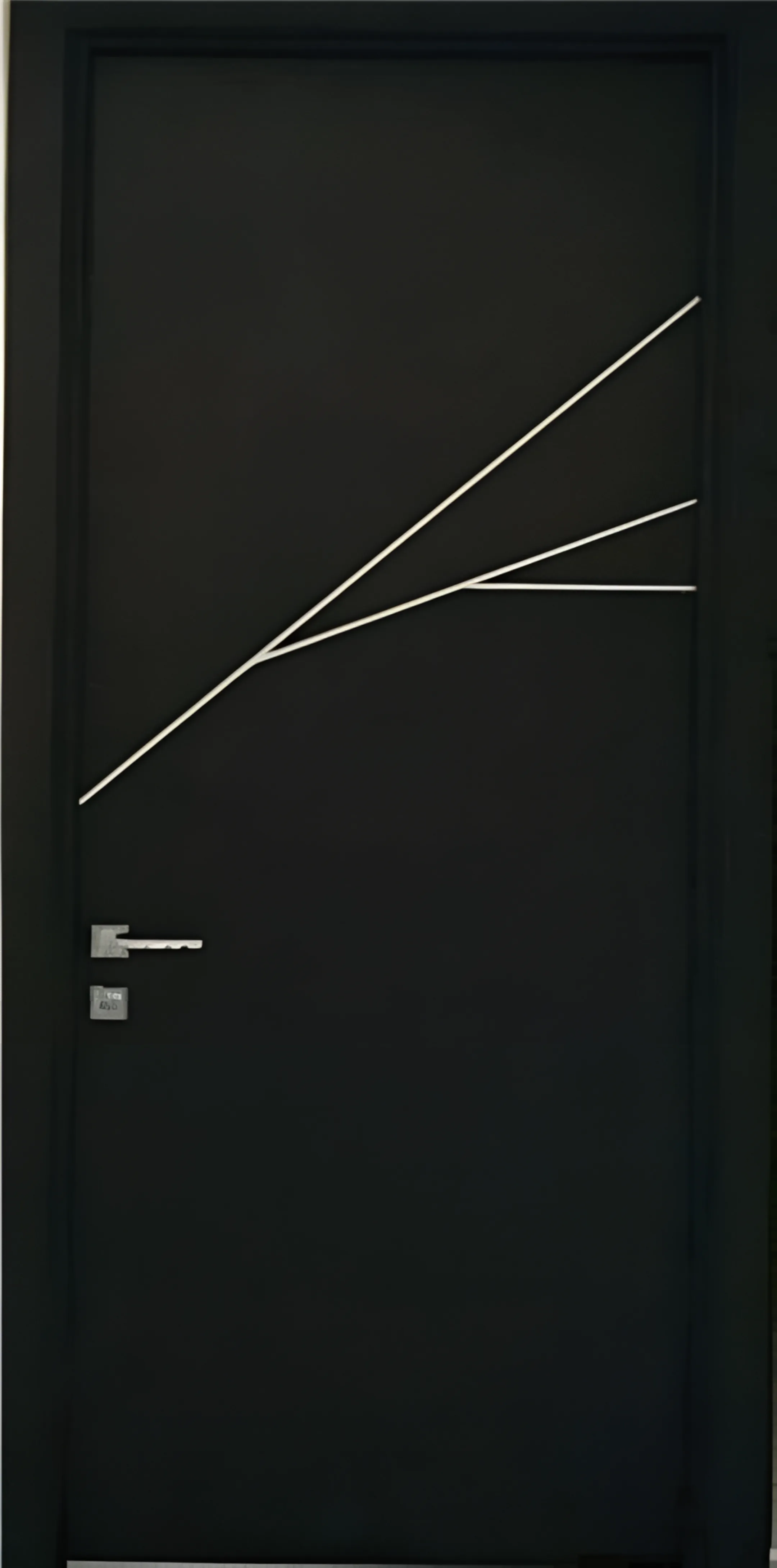 Commercial hidden door