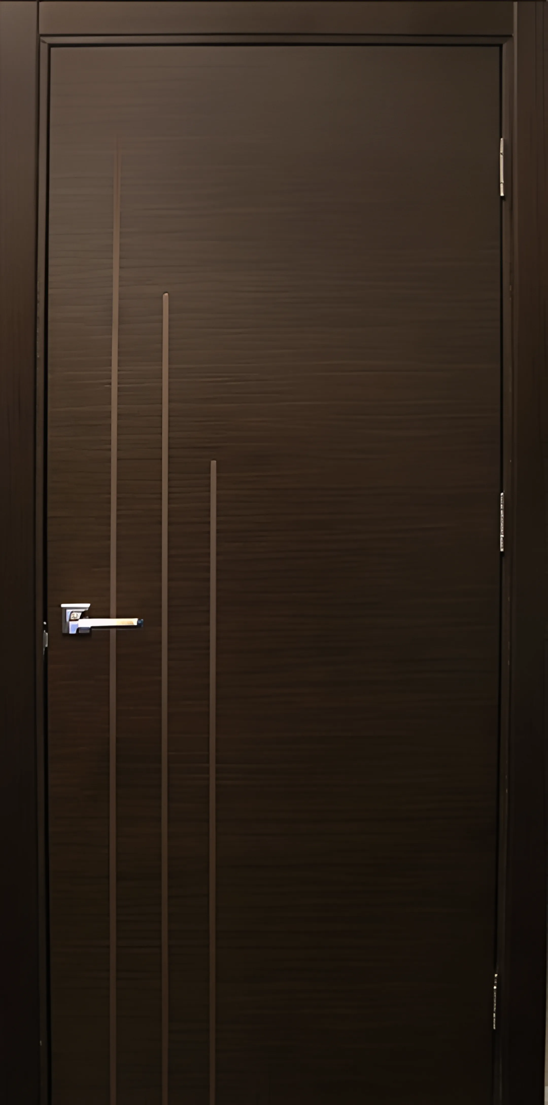 Modern door in professional office