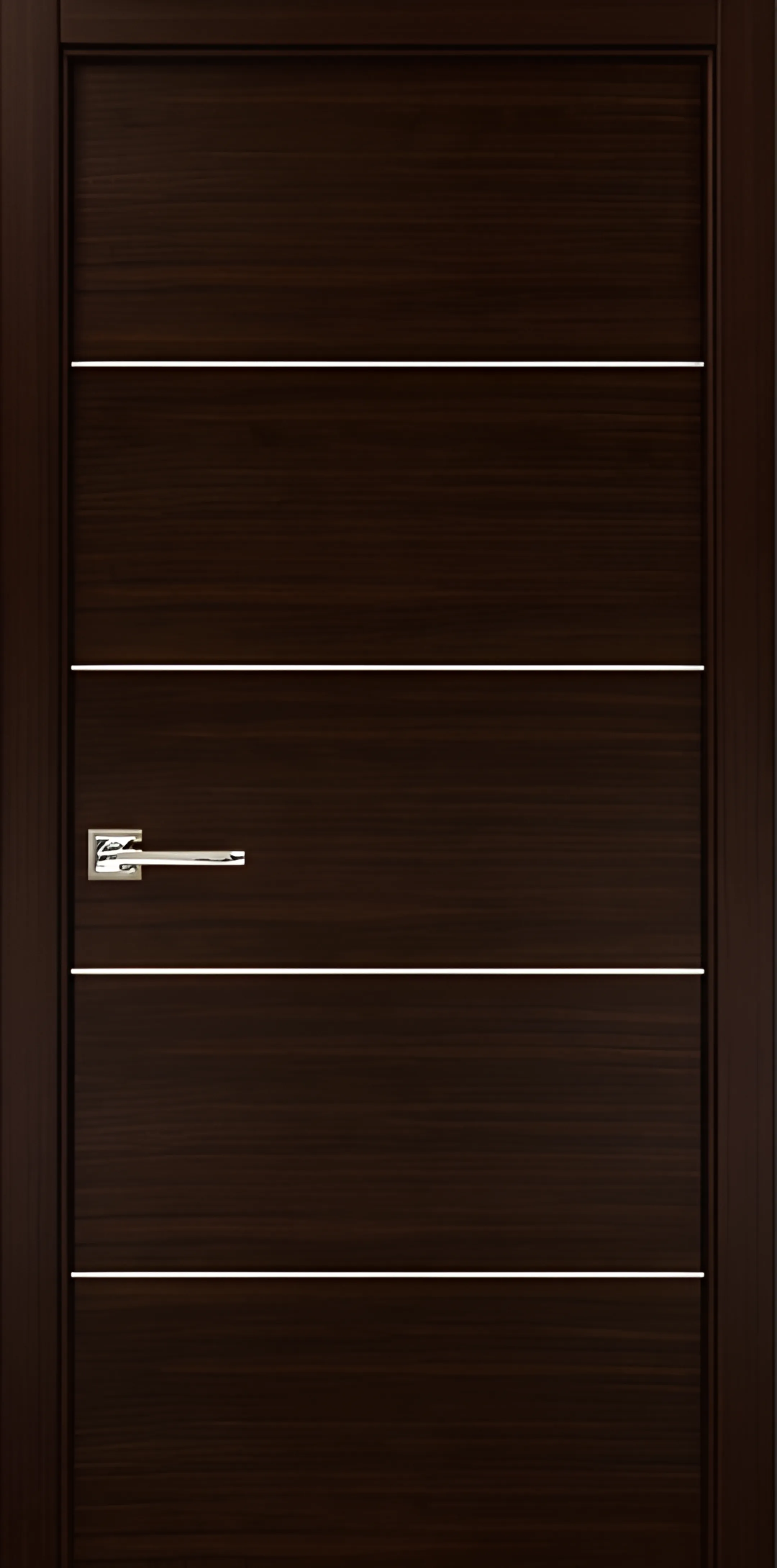 Modern flush doors in a residential interior