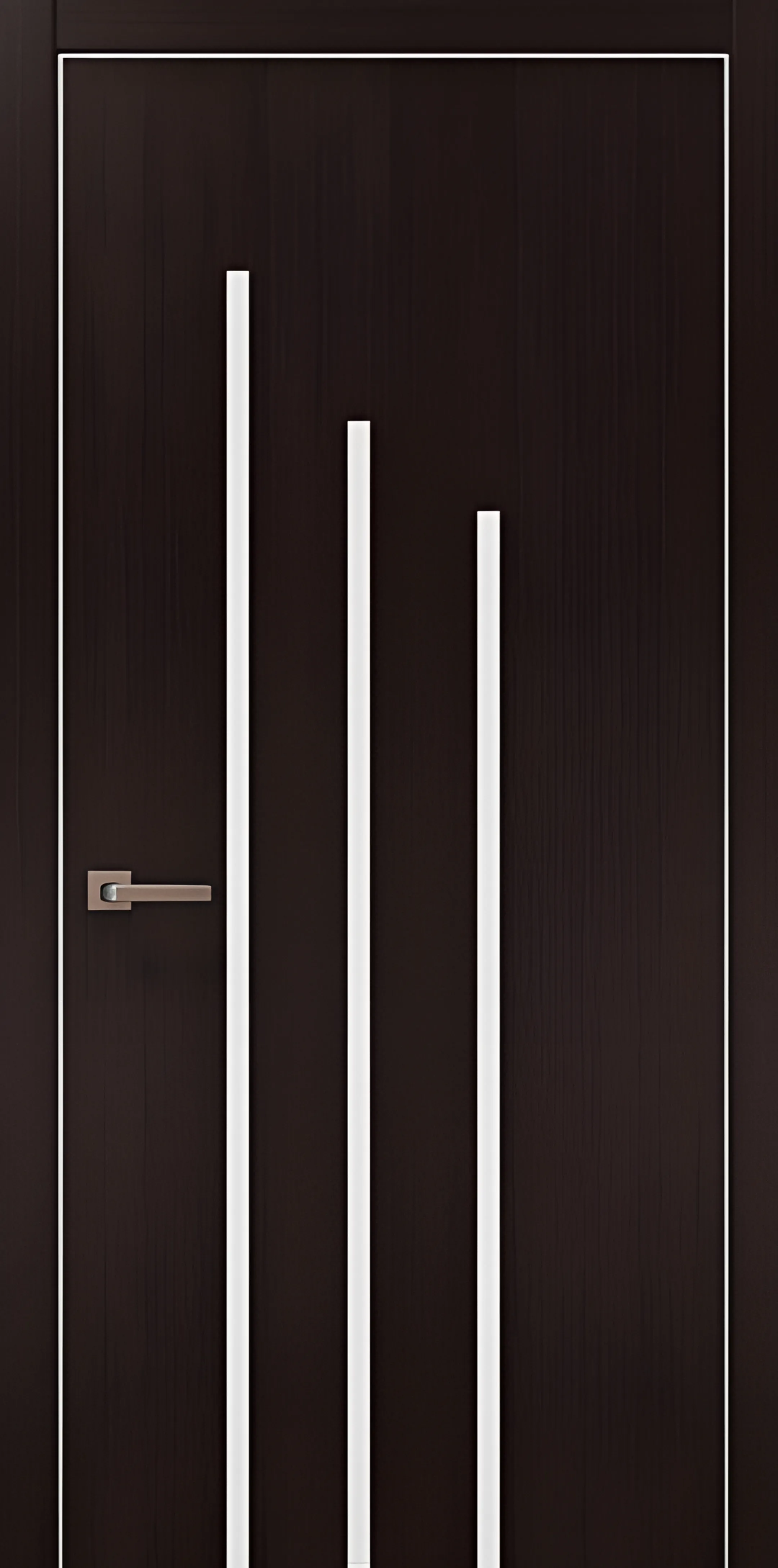 Professional office frameless door