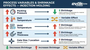 Infographic