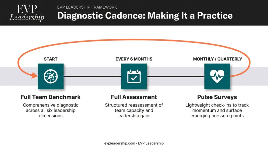Leadership diagnostic frequency timeline showing benchmark pulse and quarterly survey cadence
